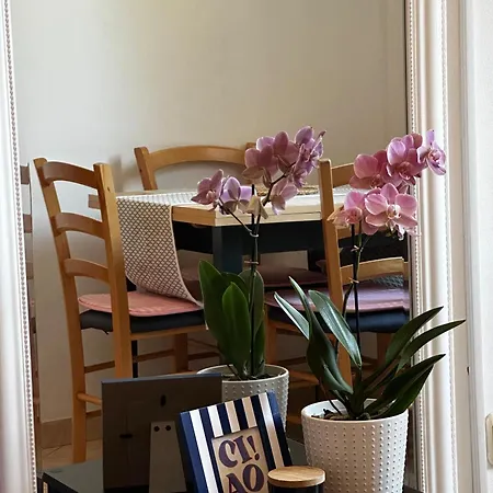 Apartamento Softic *