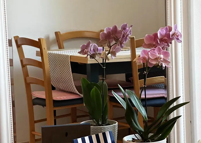 Apartamento Softic *